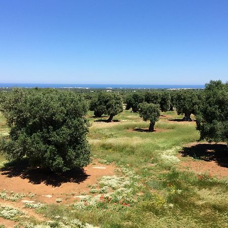 Masseria Capece Pezze Di Greco Exteriér fotografie