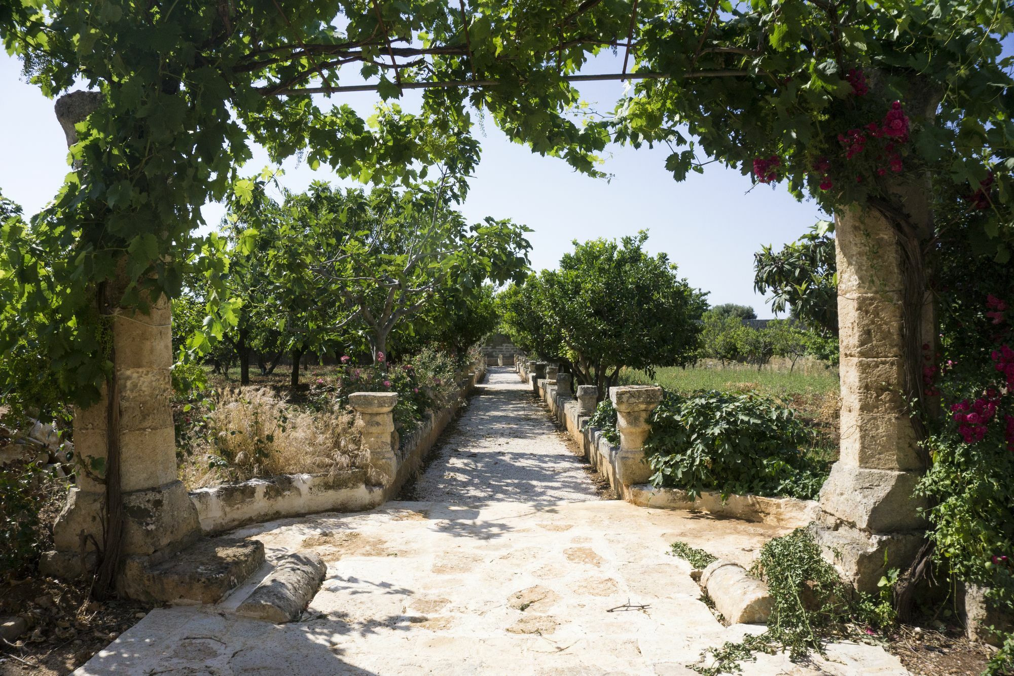 Masseria Capece Pezze Di Greco Exteriér fotografie